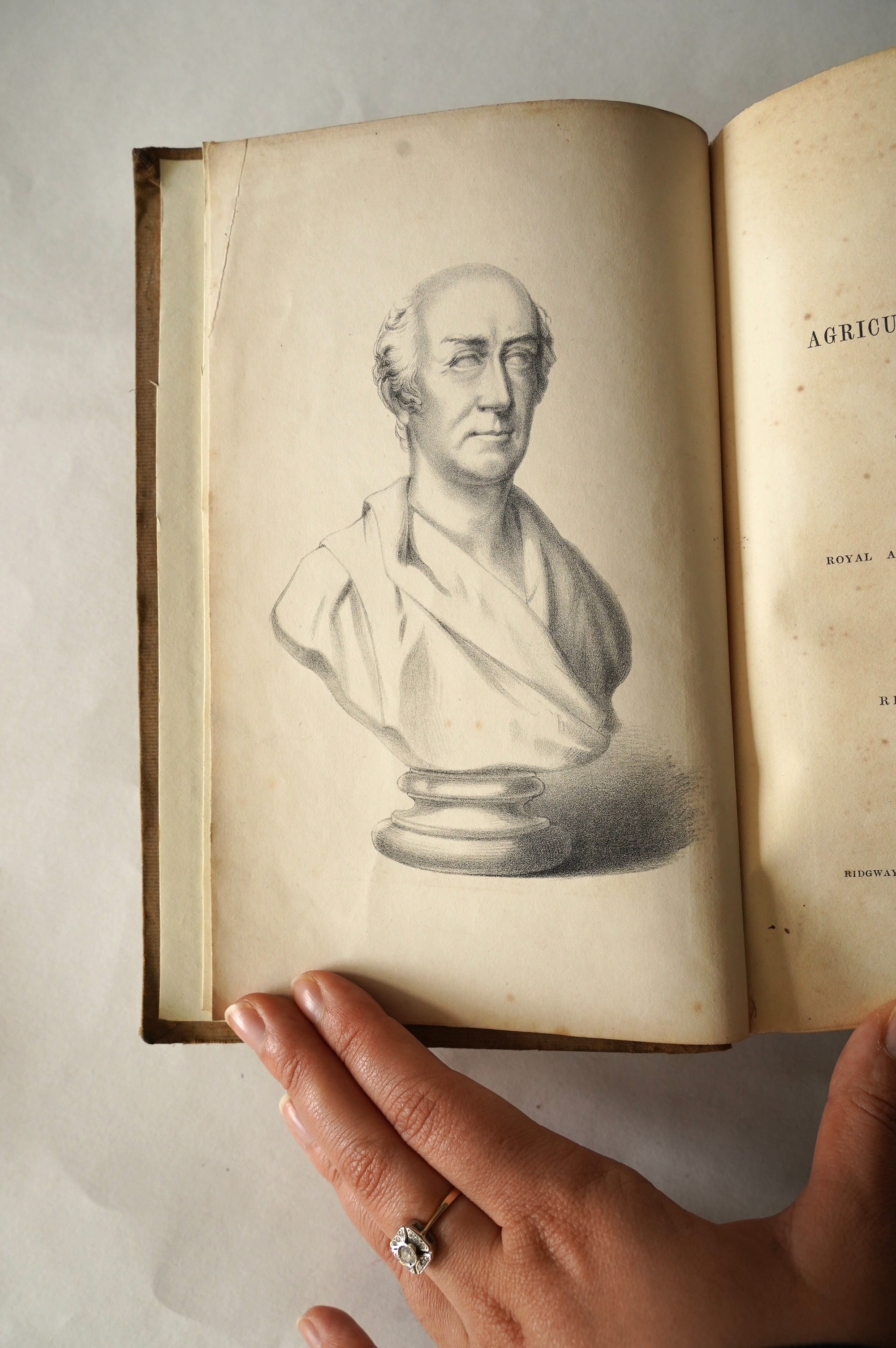 Marshall, William - The Rural Economy of Norfolk...2nd edition, 2 vols. folded map; contemp. half calf and marbled boards. 1795; Bacon, Richard Noverre - The Report on the Agriculture of Norfolk....portrait frontis., fol